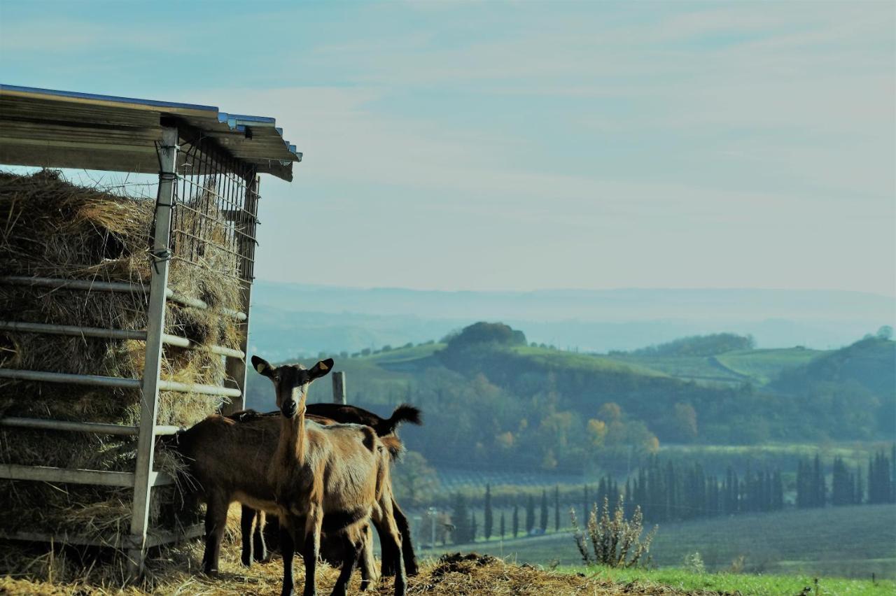Agriturismo Fattoria Le Caprine Ґамбассі-Терме Екстер'єр фото