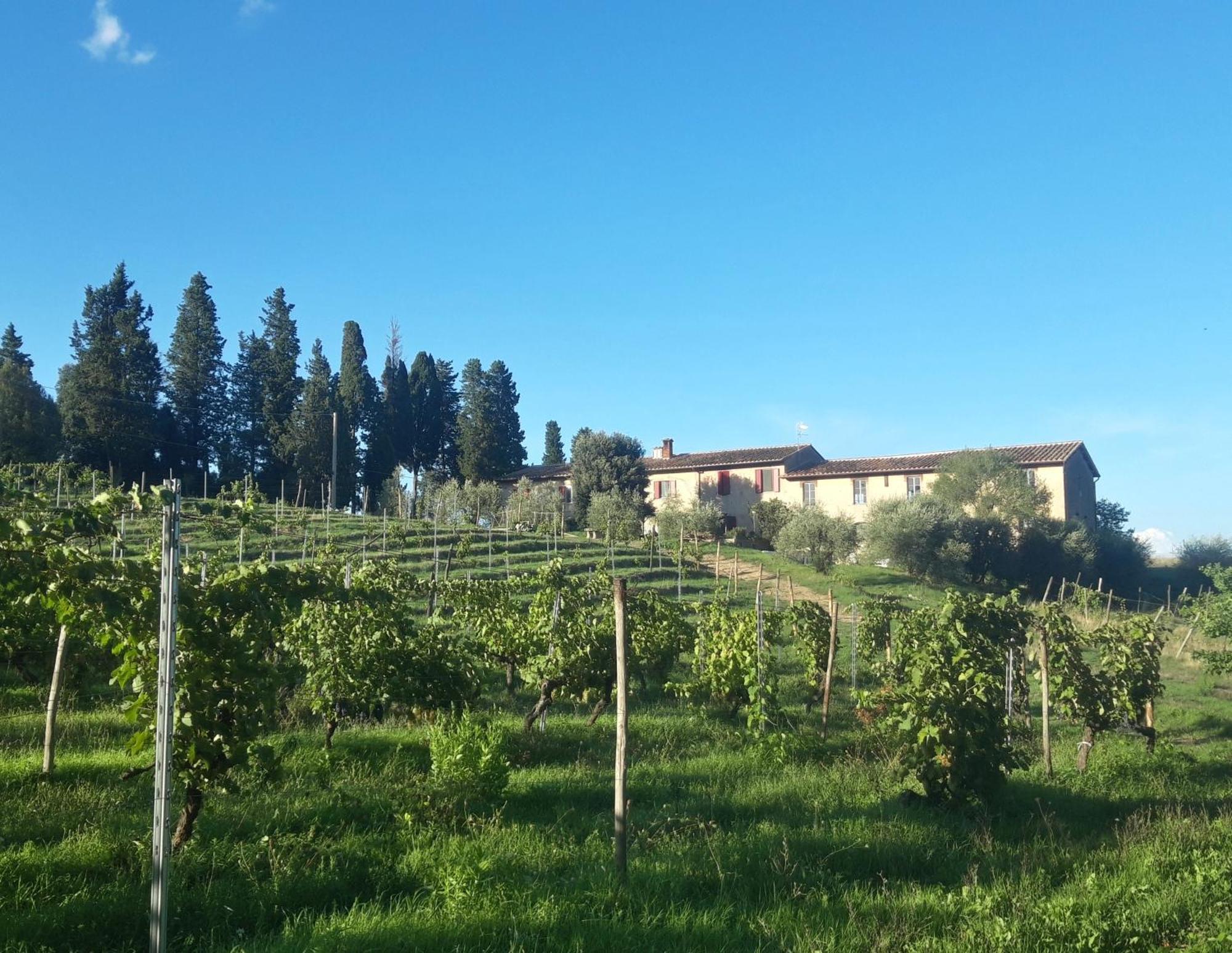 Agriturismo Fattoria Le Caprine Ґамбассі-Терме Екстер'єр фото